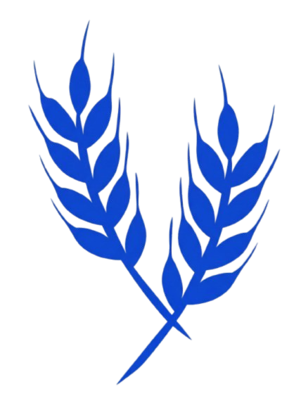EthioShare